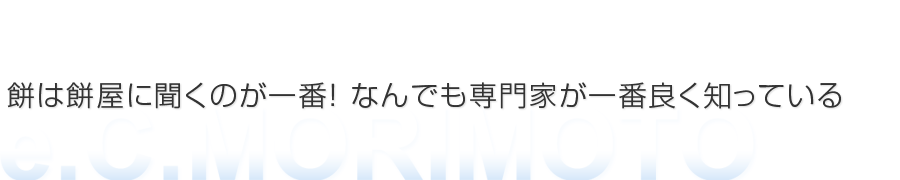 インターネットビジネスコンサルタント