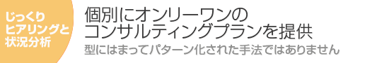 ＥＣコンサルティングプラン