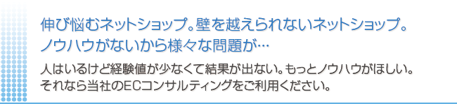 ＥＣ（ネットショップ）コンサルティング