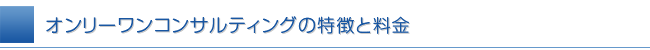 ＥＣコンサルティングの特徴と料金