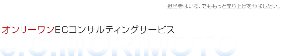 ＥＣコンサルティング・ネットショップコンサルティング