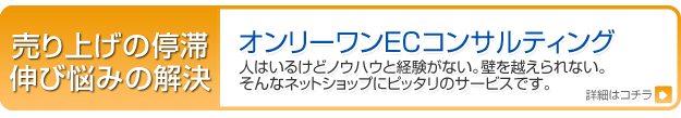 ネットショップコンサルティング・ＥＣコンサルティング