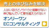 ネットショップコンサルティング・ＥＣコンサルティング