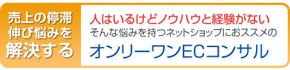 ネットショップコンサルティング・ＥＣコンサルティング